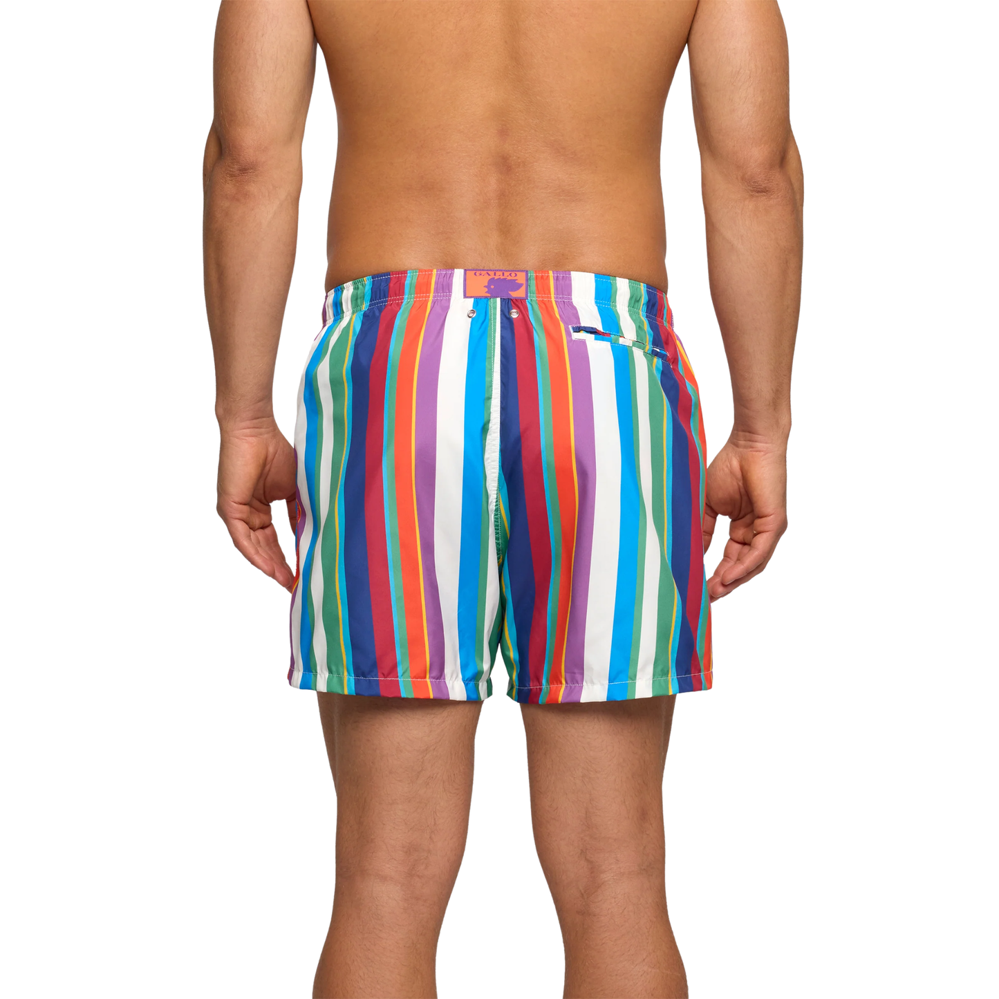 Boxer Mare AP512936
