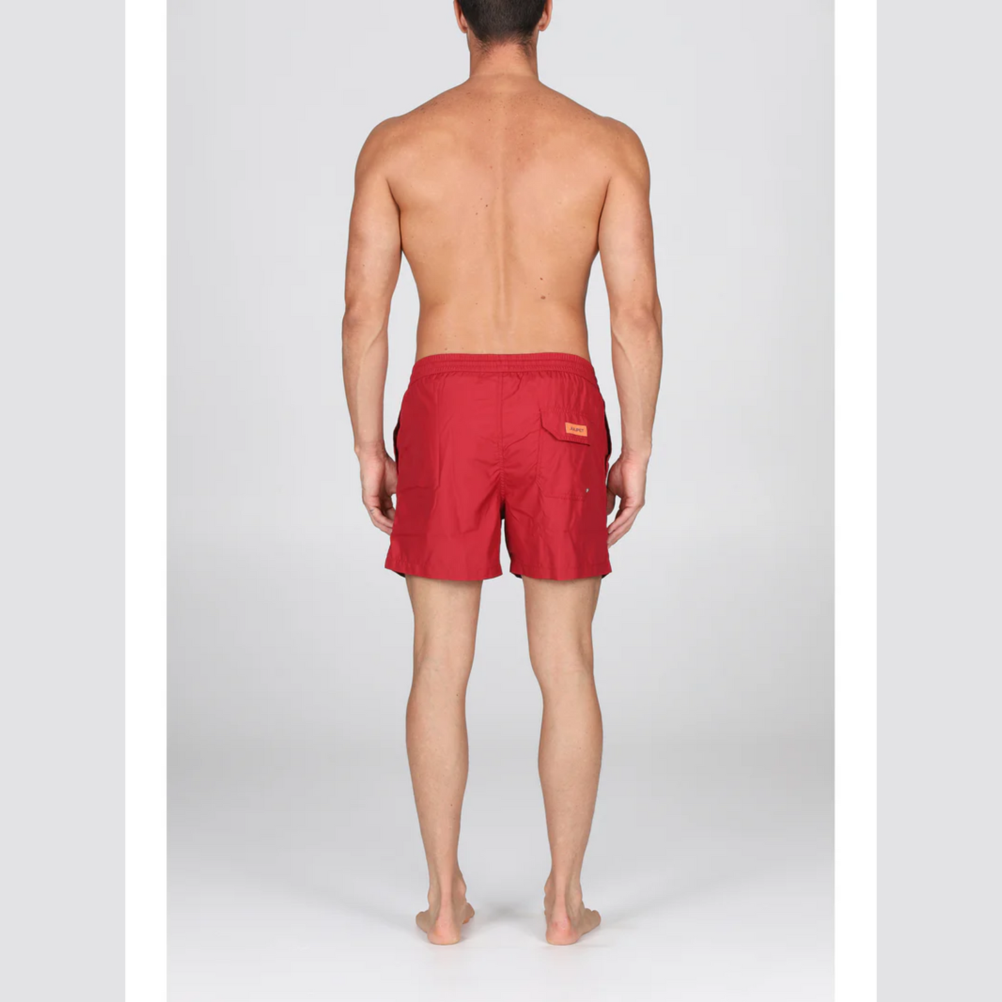 Boxer Mare Salento JIB209
