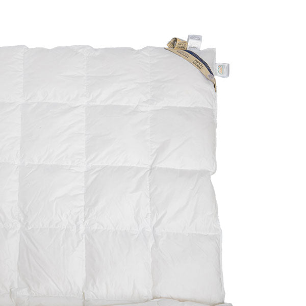 Batista Active Cotton + Protex - Masuria Gold - Estivo