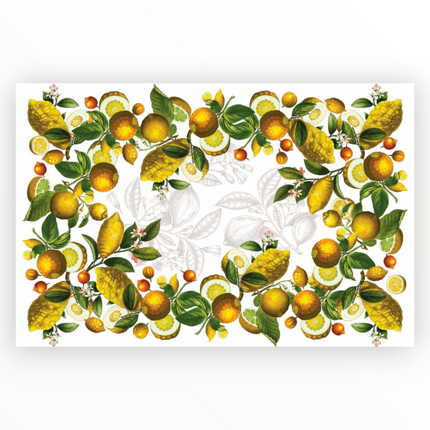 Tovaglia Cedro 100% cotone