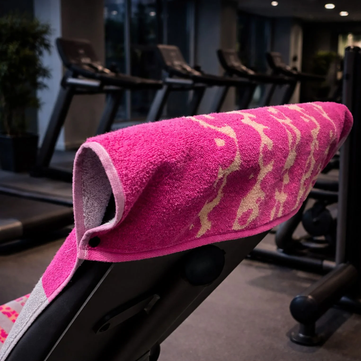 Telo Fitness & Gym