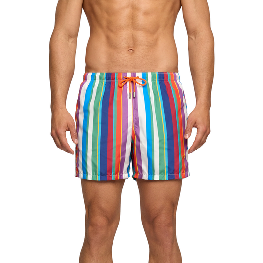 Boxer Mare AP512936