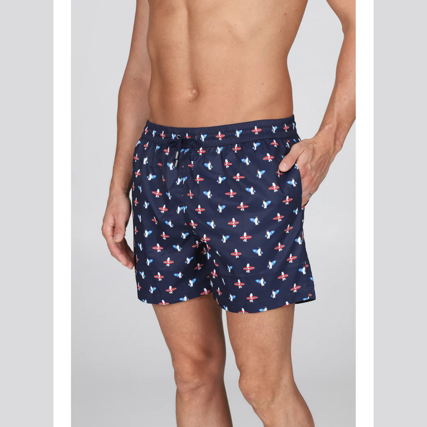 Boxer Mare SAMOS JIB208 Pinguini