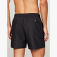 Boxer Mare UMO3258