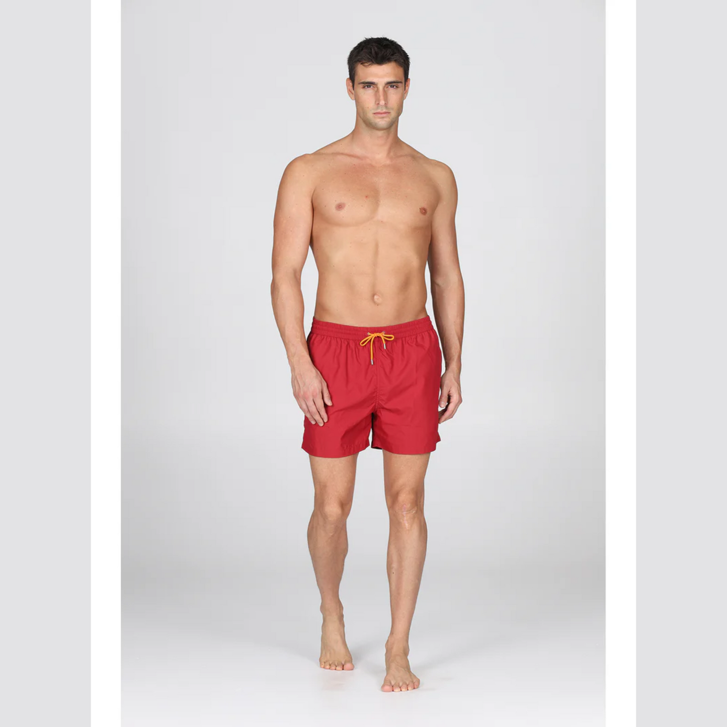 Boxer Mare Salento JIB209