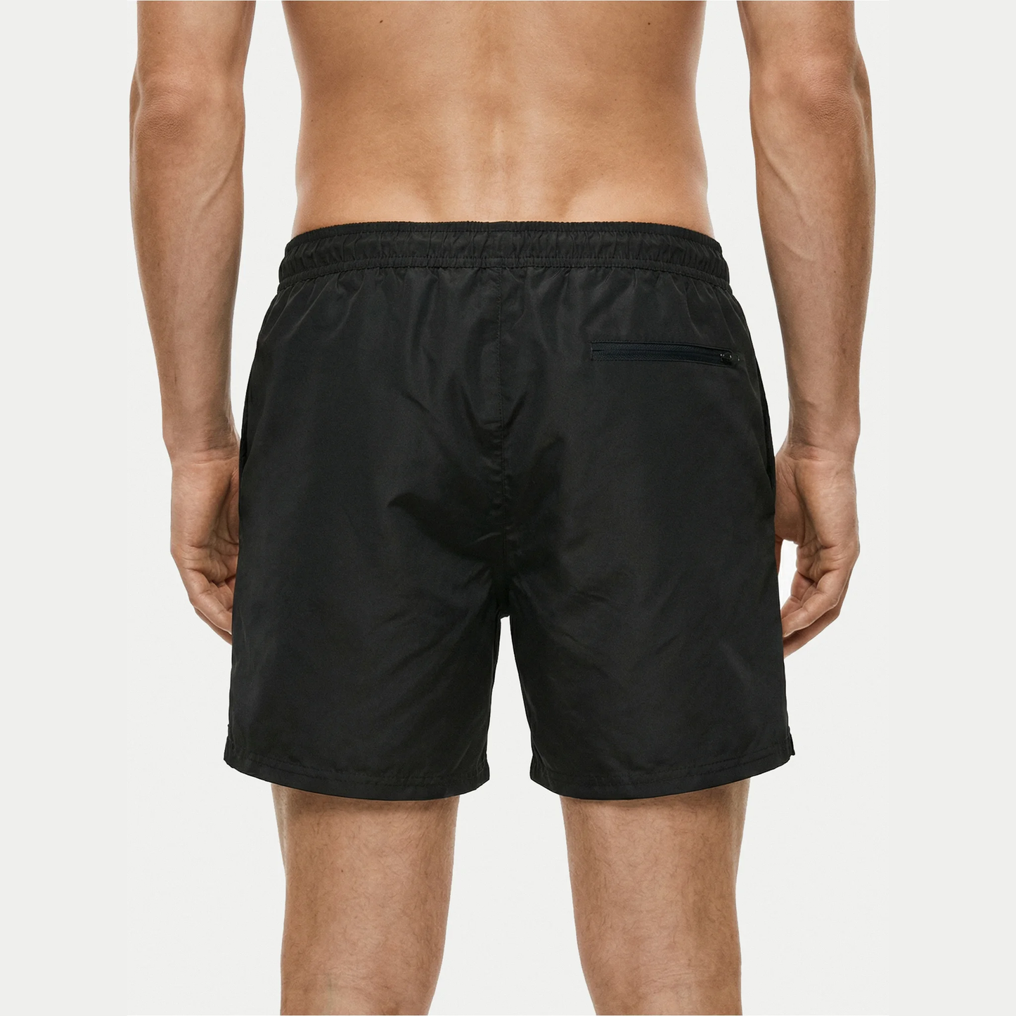 Boxer mare LV00N61047