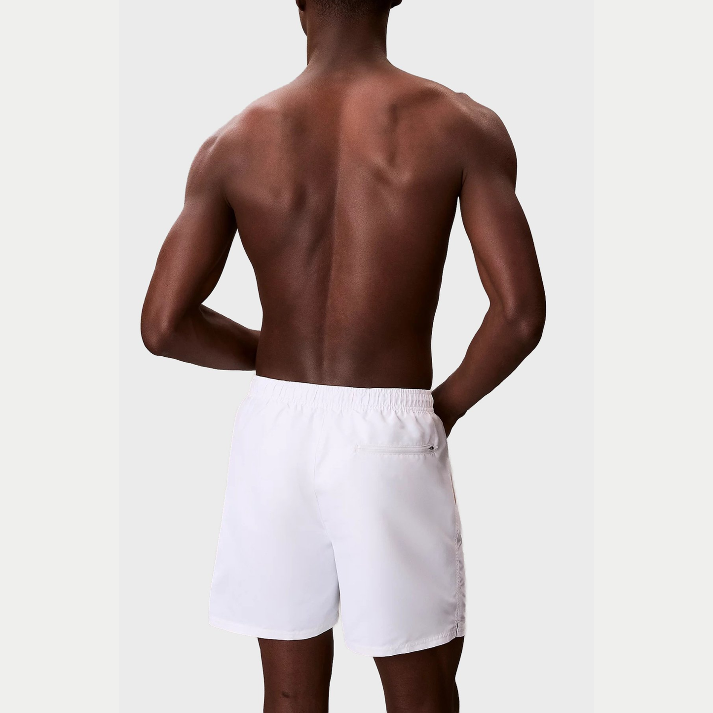 Boxer mare LV00N61047
