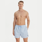 Boxer mare Stripes LV00N61045
