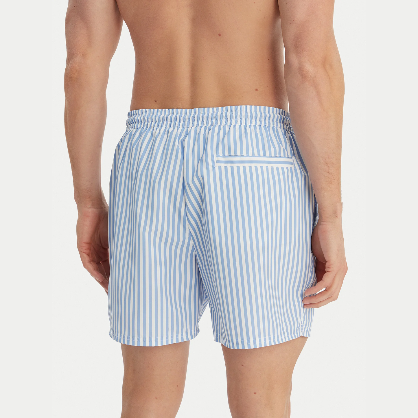 Boxer mare Stripes LV00N61045