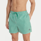 Boxer mare Stripes LV00N61045