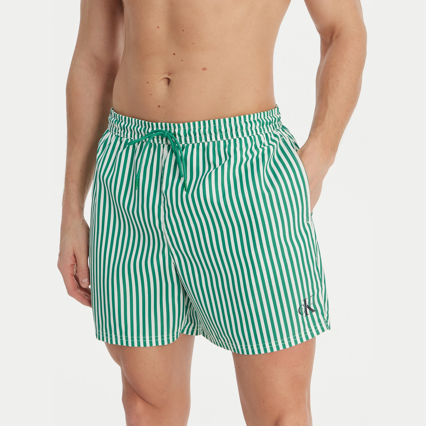 Boxer mare Stripes LV00N61045
