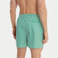 Boxer mare Stripes LV00N61045