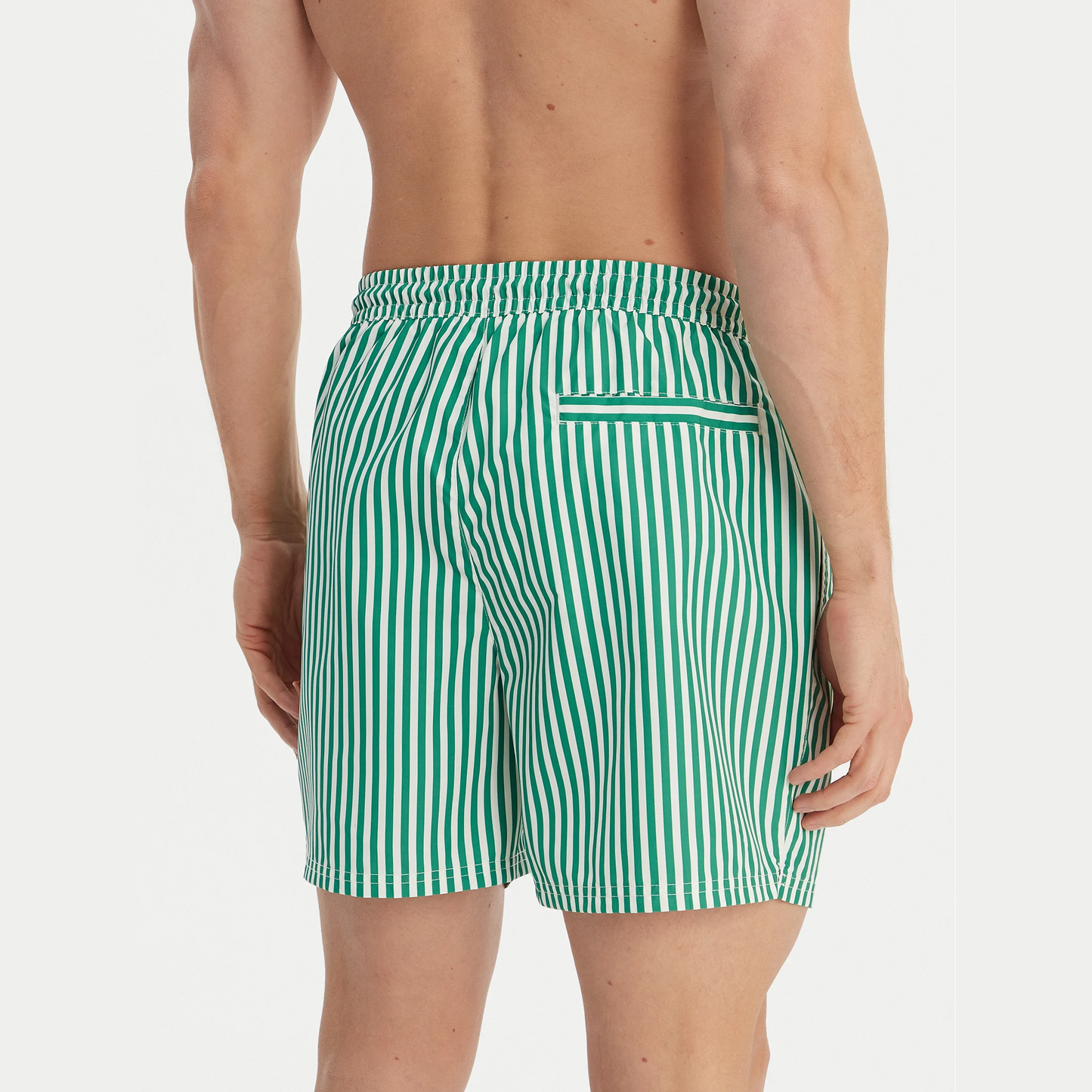Boxer mare Stripes LV00N61045