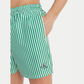 Boxer mare Stripes LV00N61045