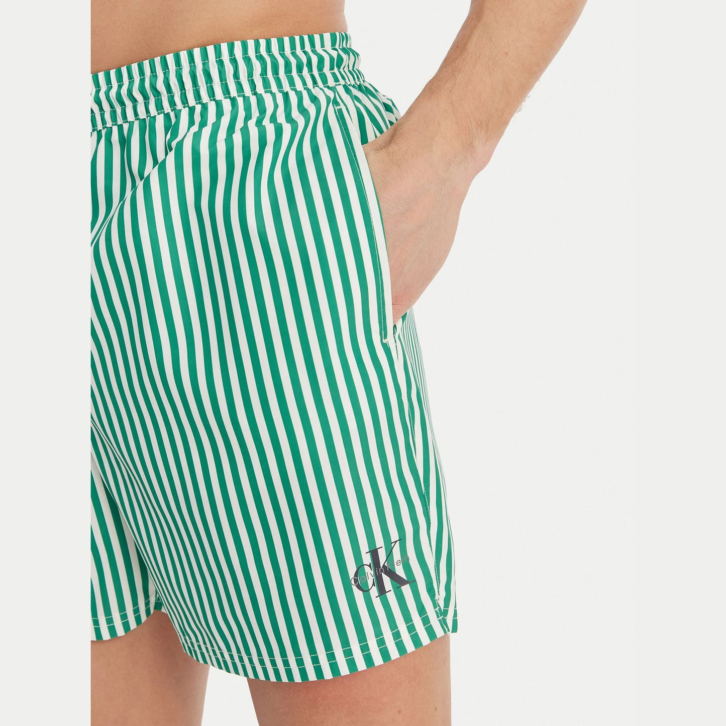 Boxer mare Stripes LV00N61045