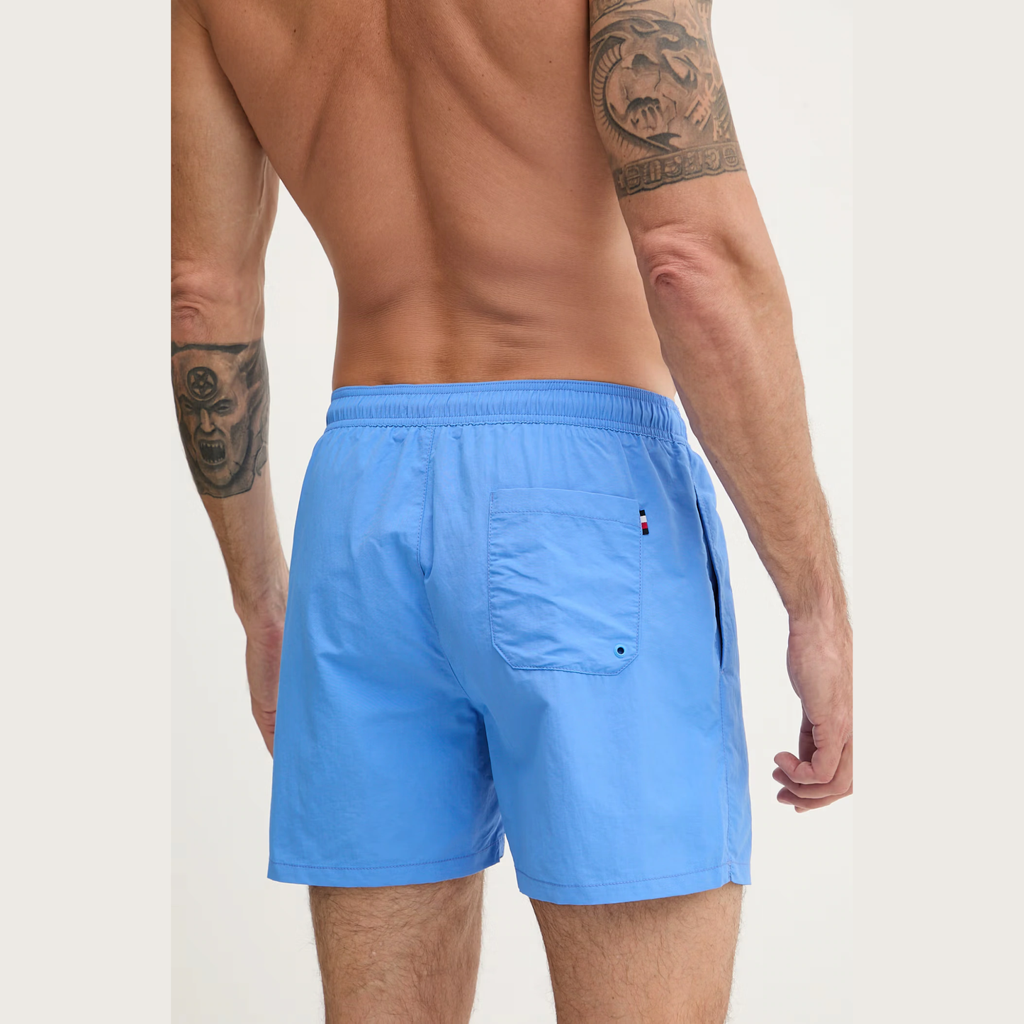 Boxer mare UM0UM03477