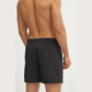 Boxer mare UM0UM03477