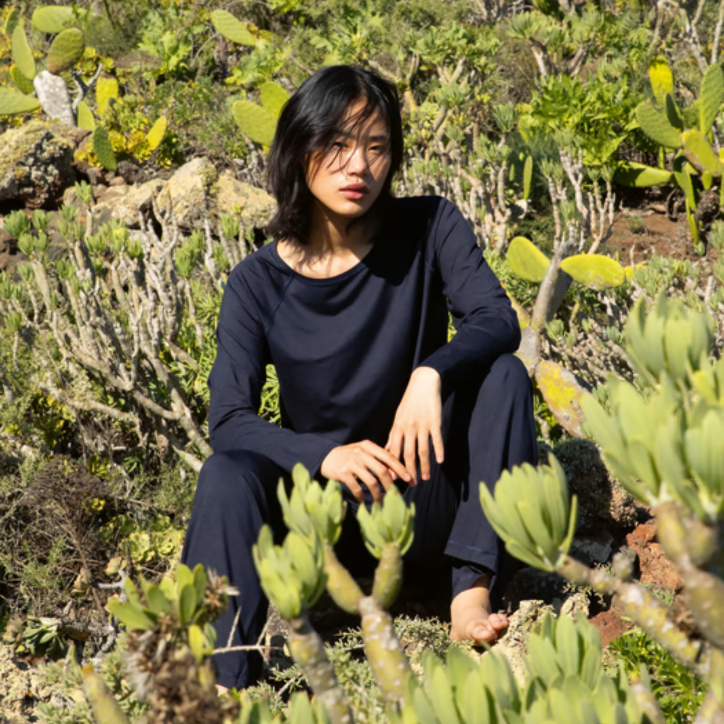 Completo 15791+29390