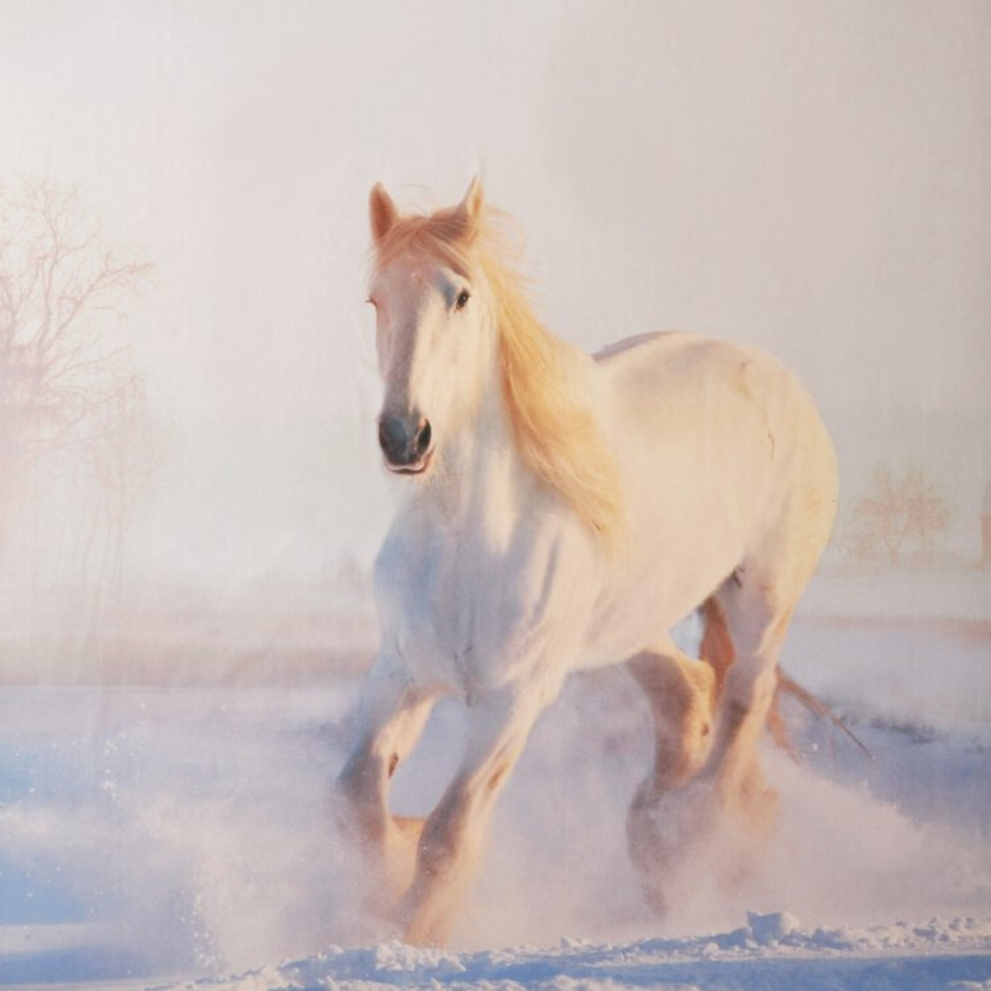 Completo Lenzuola Imagine White Horse 100% Cotone Fine Serie