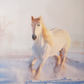 Completo Copripiumino Imagine White Horse 100% cotone Fine Serie