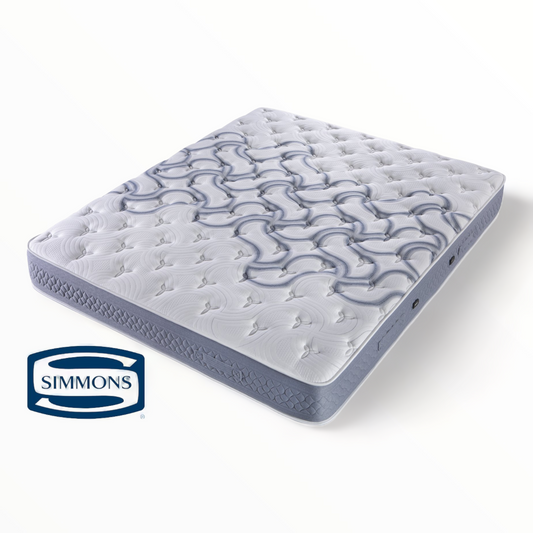 Grand Tradition Dynamic Medio