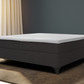 Continental Ambassador softline II